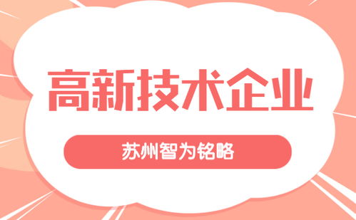 蘇州企業(yè)服務(wù)公司申報(bào)高新技術(shù)企業(yè)的策略 985、211碩士團(tuán)隊(duì)的專(zhuān)業(yè)賦能